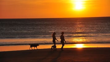 Playa en los alrededores, playa de arena blanca y sombrillas