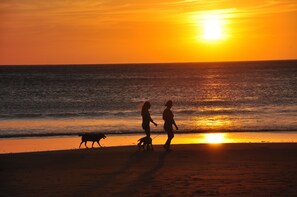 Vlak bij het strand, wit zand, parasols, strandlakens
