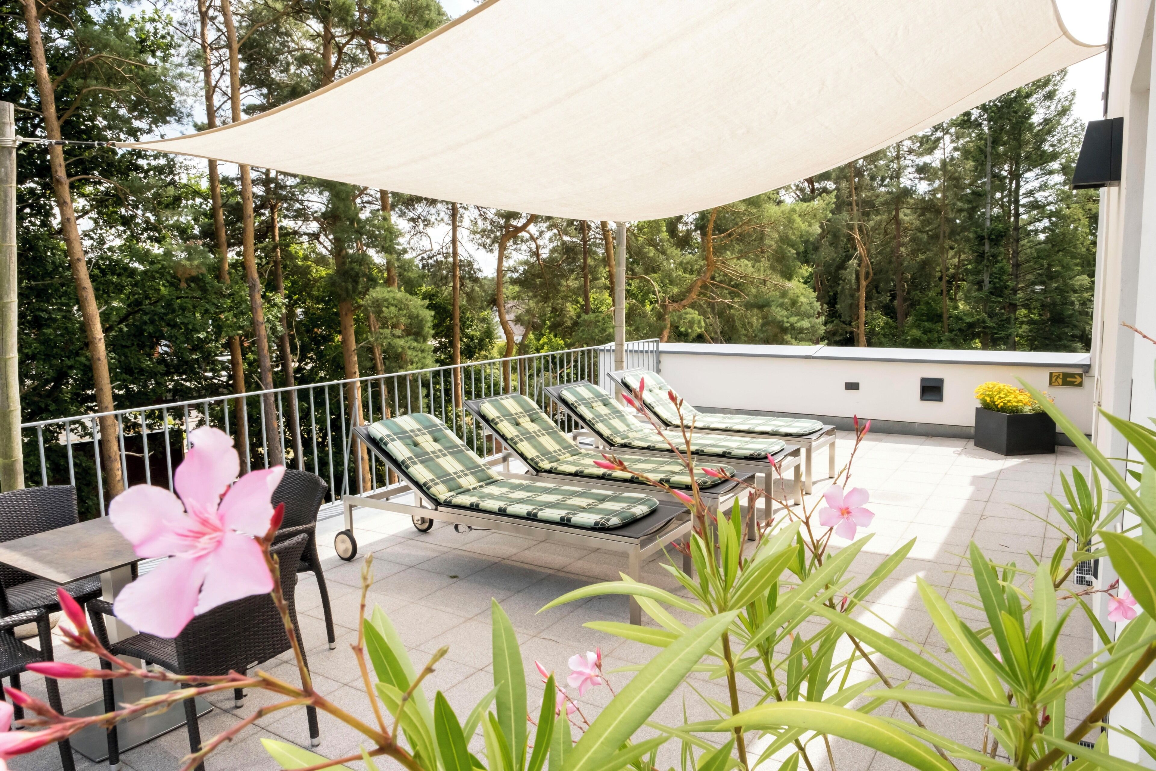 Rooftop terrace
