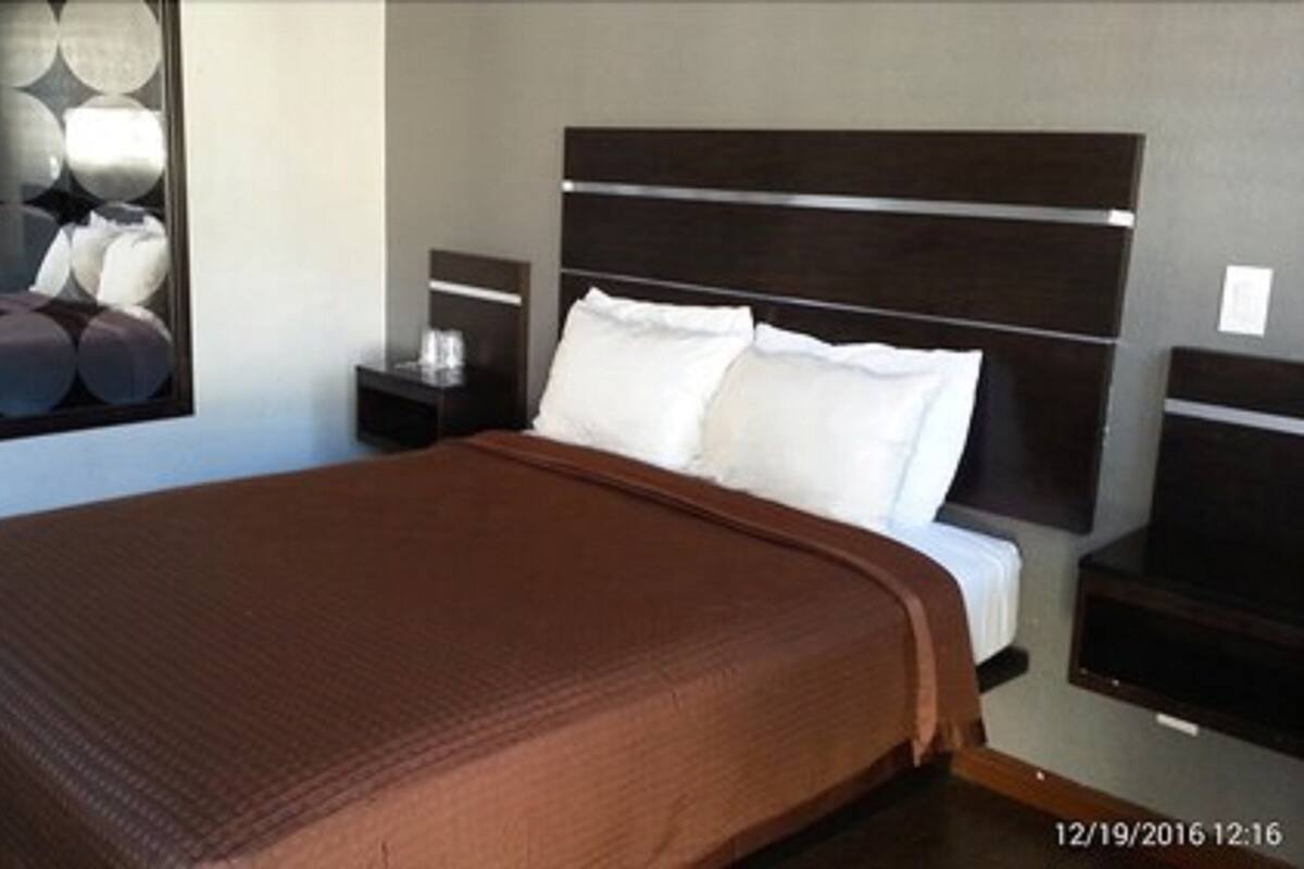 A modern bedroom with a large bed, a headboard with horizontal lines, a nightstand with a lamp, and a wall with circular mirrors.