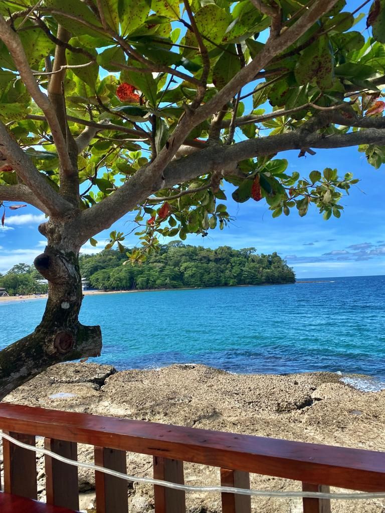 A tree with a wooden railing in the foreground, a clear blue sky, and a distant view of a beach and island.