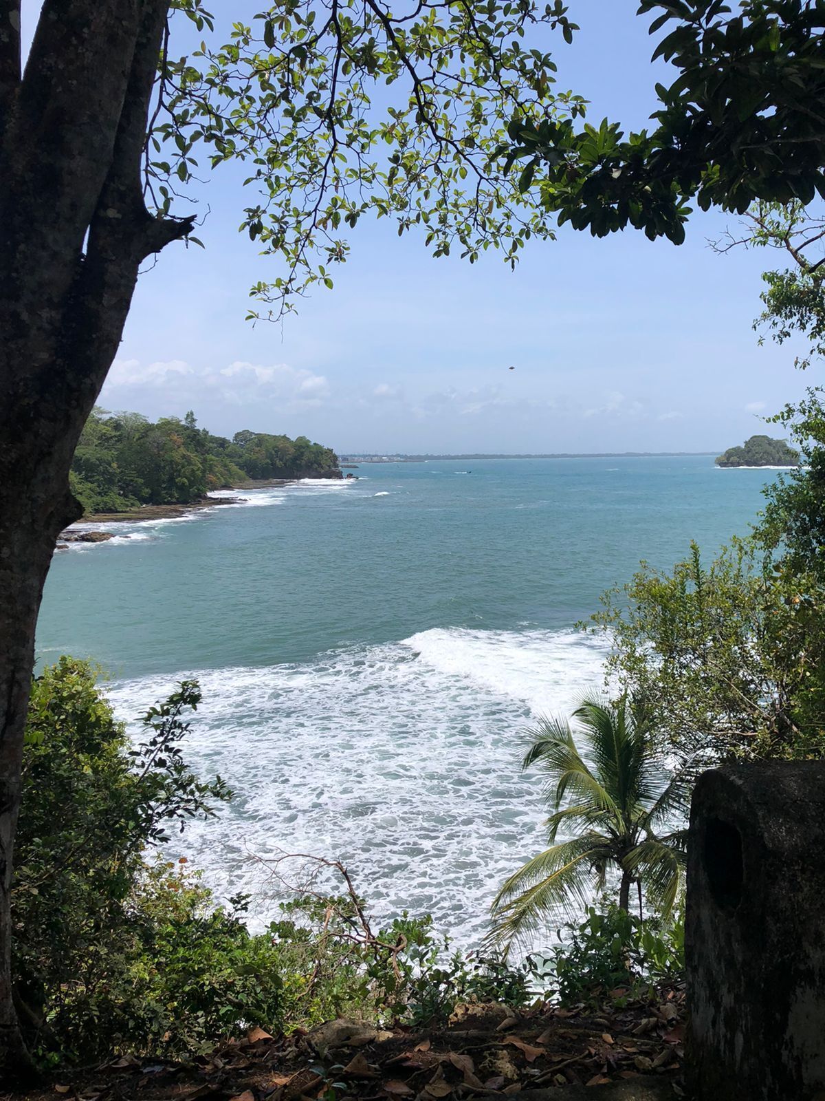 A coastal landscape with a view of the sea, a rocky shoreline, and dense greenery.