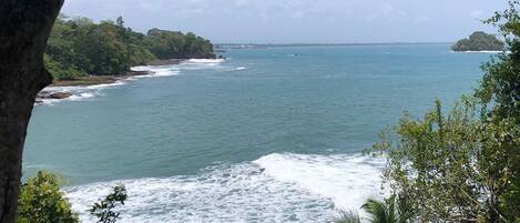 A coastal landscape with a view of the sea, a rocky shoreline, and dense greenery.