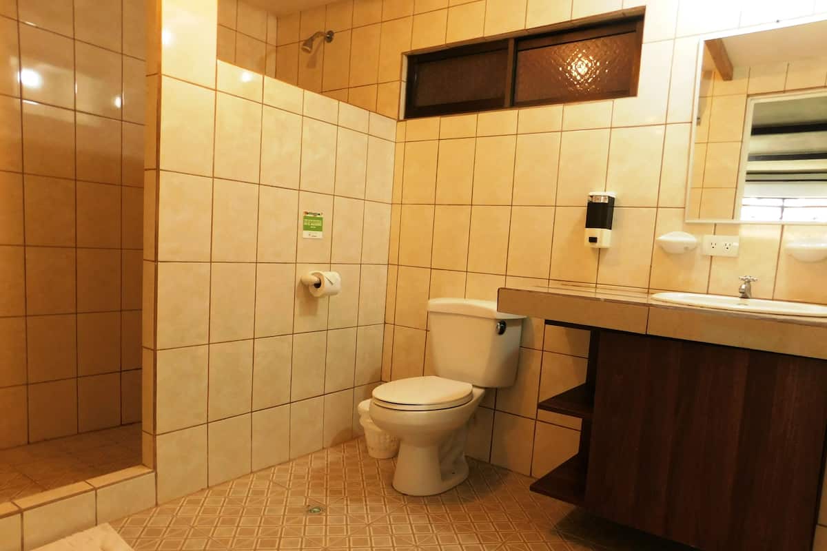 standard double room single use, 1 bedroom, accessible | bathroom | rainfall showerhead, free toiletries, towels, soap