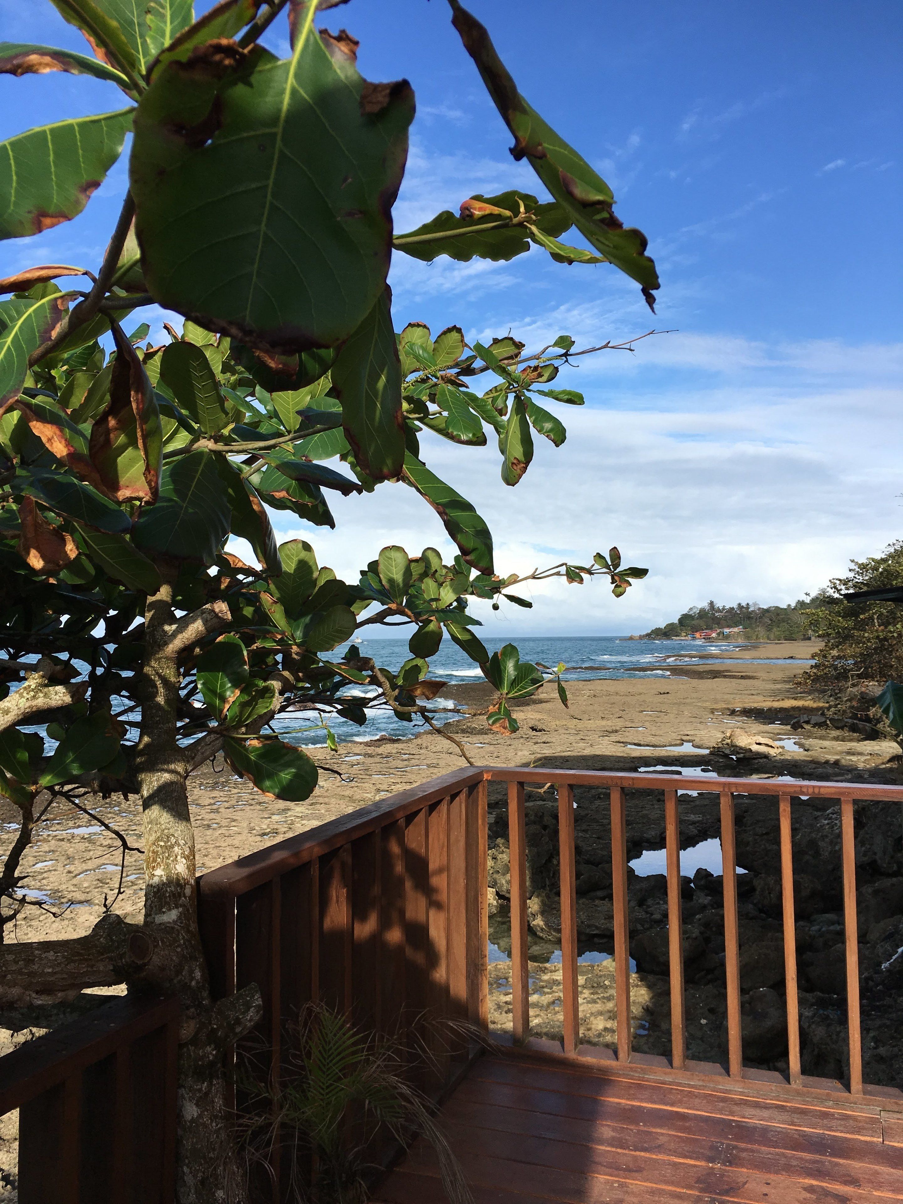 A wooden deck with a view of a beach and ocean.