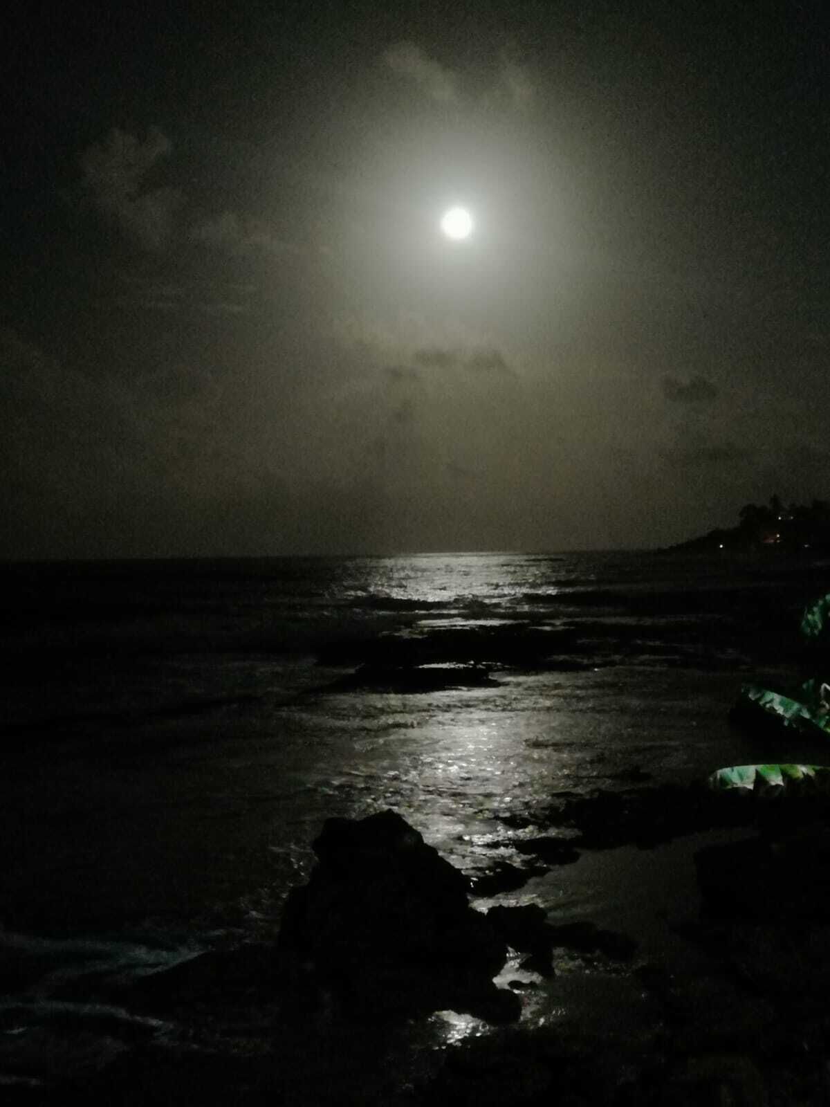 Escena nocturna con luna llena sobre el océano, costa rocosa y agua tranquila que refleja el brillo lunar.