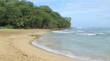 Ubicación a pie de playa, arena blanca, toallas de playa y kayak