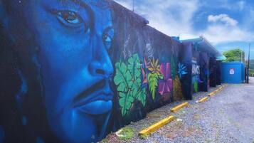 Une fresque murale représentant un grand visage et des plantes aux couleurs vives.