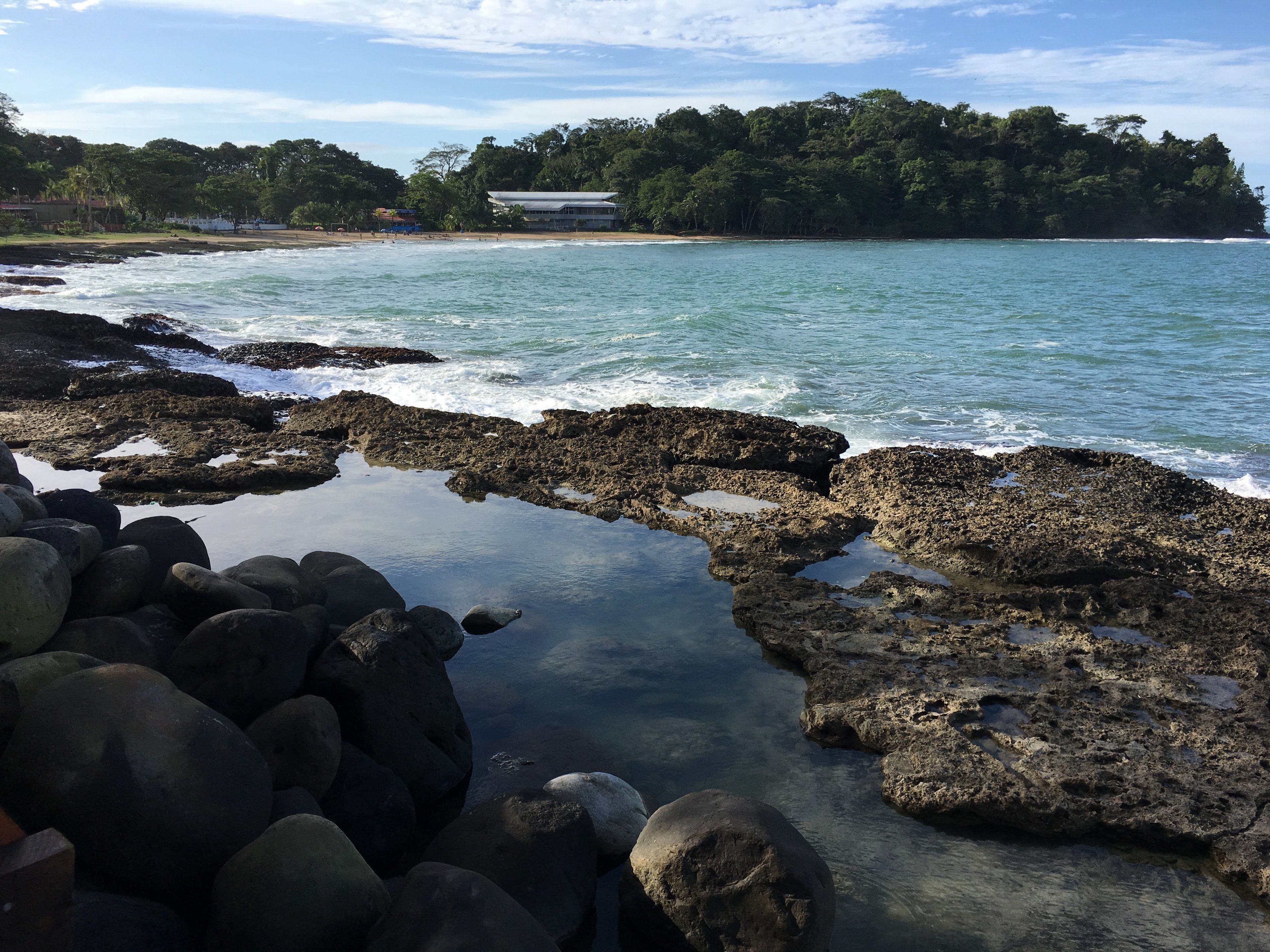 A rocky shoreline with clear water, a building in the background, and dense trees.