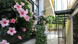Um corredor com uma fileira de flores cor-de-rosa à esquerda, um corrimão de metal à direita e piso de azulejos.