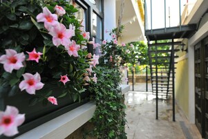 Konaklama yerinden manzara