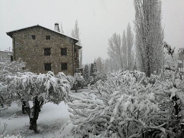 Vista frontal de la propiedad