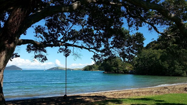 A beach with a clear view of the sea, surrounded by trees and a grassy area. - Oamaru Bay Tourist Park (Coromandel)