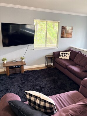 Smart-TV, Kamin, Videospiele, DVD-Player