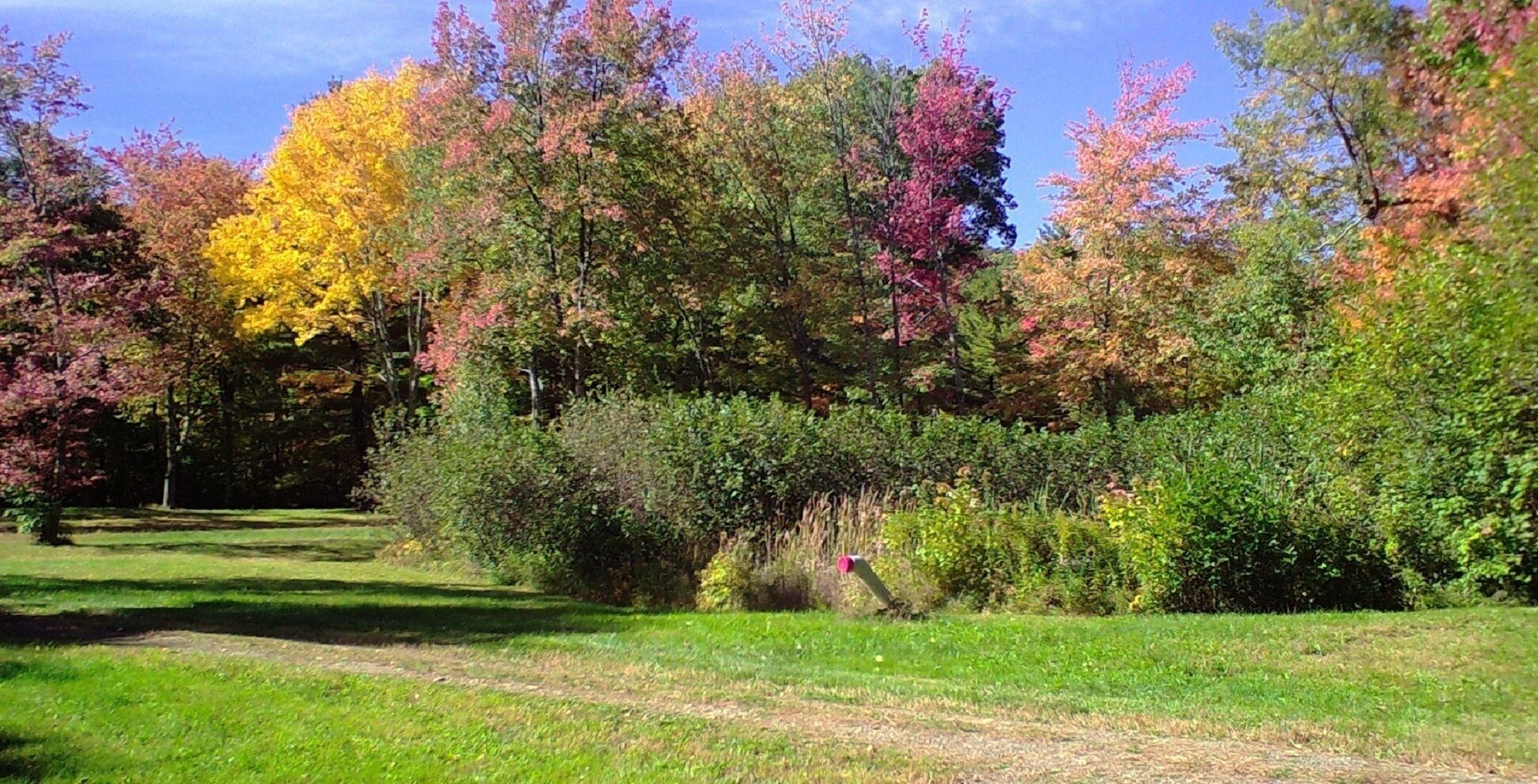 Top 10 Vrbo Wedding Venues In New England, USA Updated 2024 Trip101