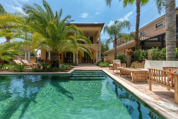 Un área de piscina con sillas de descanso y una palmera.