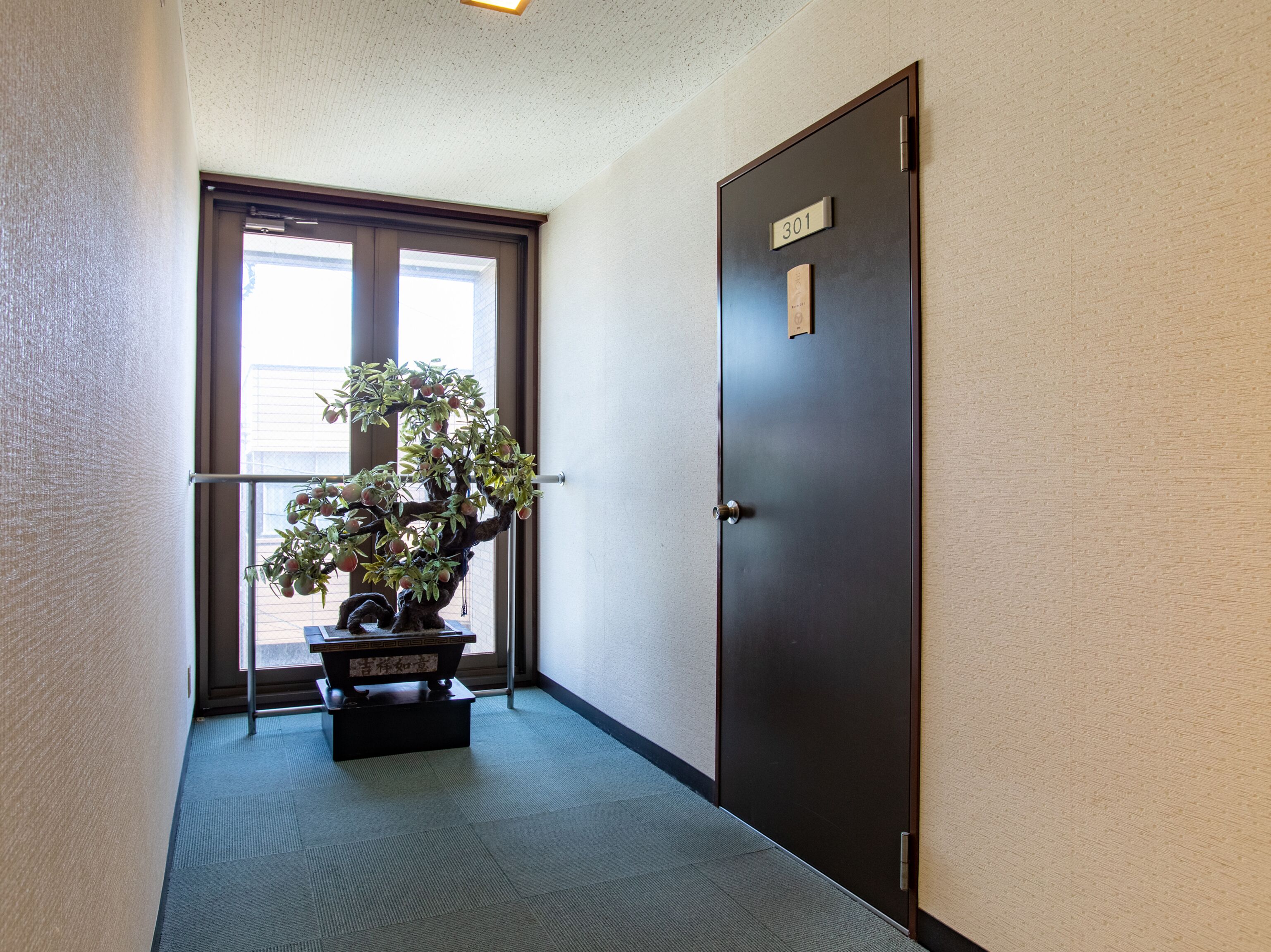 A hallway with a door labeled "301", a window with blinds, and a potted plant with a bear statue.