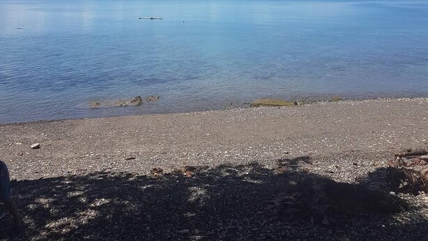 A beach with clear skies, calm water, and a distant boat. - Aundanao Oasis Beach (Samal)