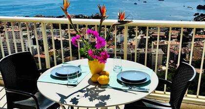Magnifique vue sur le Cap-Ferrat et la mer, studio avec balcon et parking, A/C