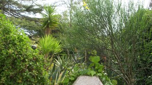A garden pathway surrounded by various plants and trees. - The blue holiday home of La Pervinca (Villassunta)