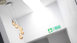 A hallway with a ceiling light fixture, a fire exit sign, and a door with a number. - Vikings Accommodation (York)