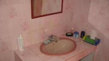 Shower, hair dryer