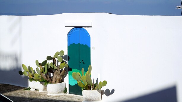 A white wall with a blue door and three potted cacti. - Scirocco Apartment with Terrace by Wonderful Italy (Ostuni)