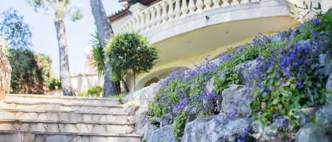 Parco della struttura