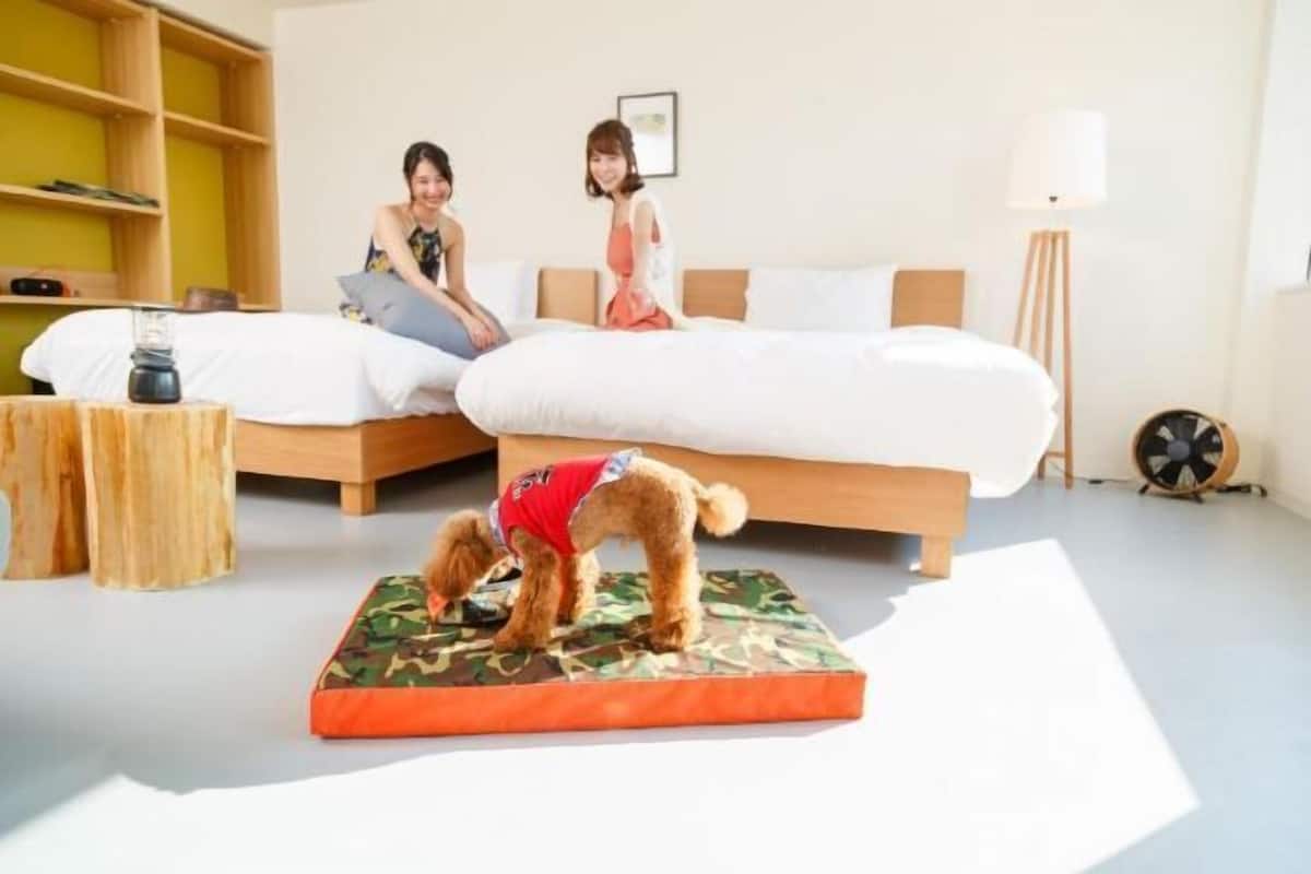 Premium bedding, in-room safe, free WiFi, bed sheets