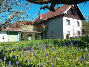 Área da propriedade