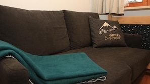 A brown sofa with a teal throw blanket and a pillow with a mountain design and text.