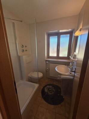 A bathroom with a glass shower enclosure, a toilet, a sink, and a window. - Apartment no. 4 Amara for 1-3 pers., 42 m², 1 sep. bedroom. (Bischofswiesen)