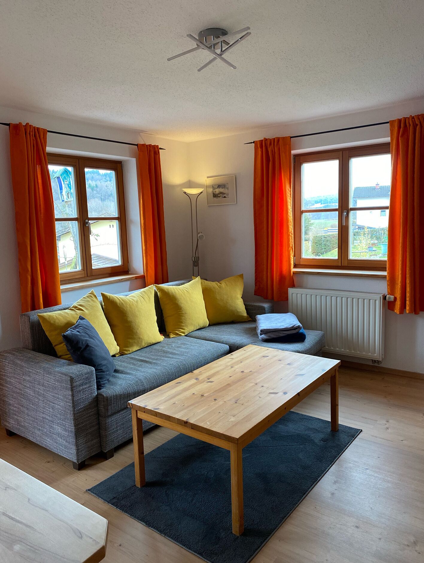 Fernseher