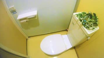 Sturta, hárblásari, sápa, sjampó