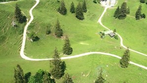 Eine Vogelperspektive auf eine grüne Landschaft mit gewundenen Pfaden und vereinzelten Bäumen.