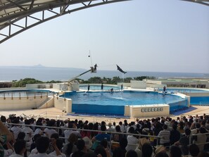 A poolside area with a diving platform and a crowd of people. - Old Private House KANEYA (Motobu)