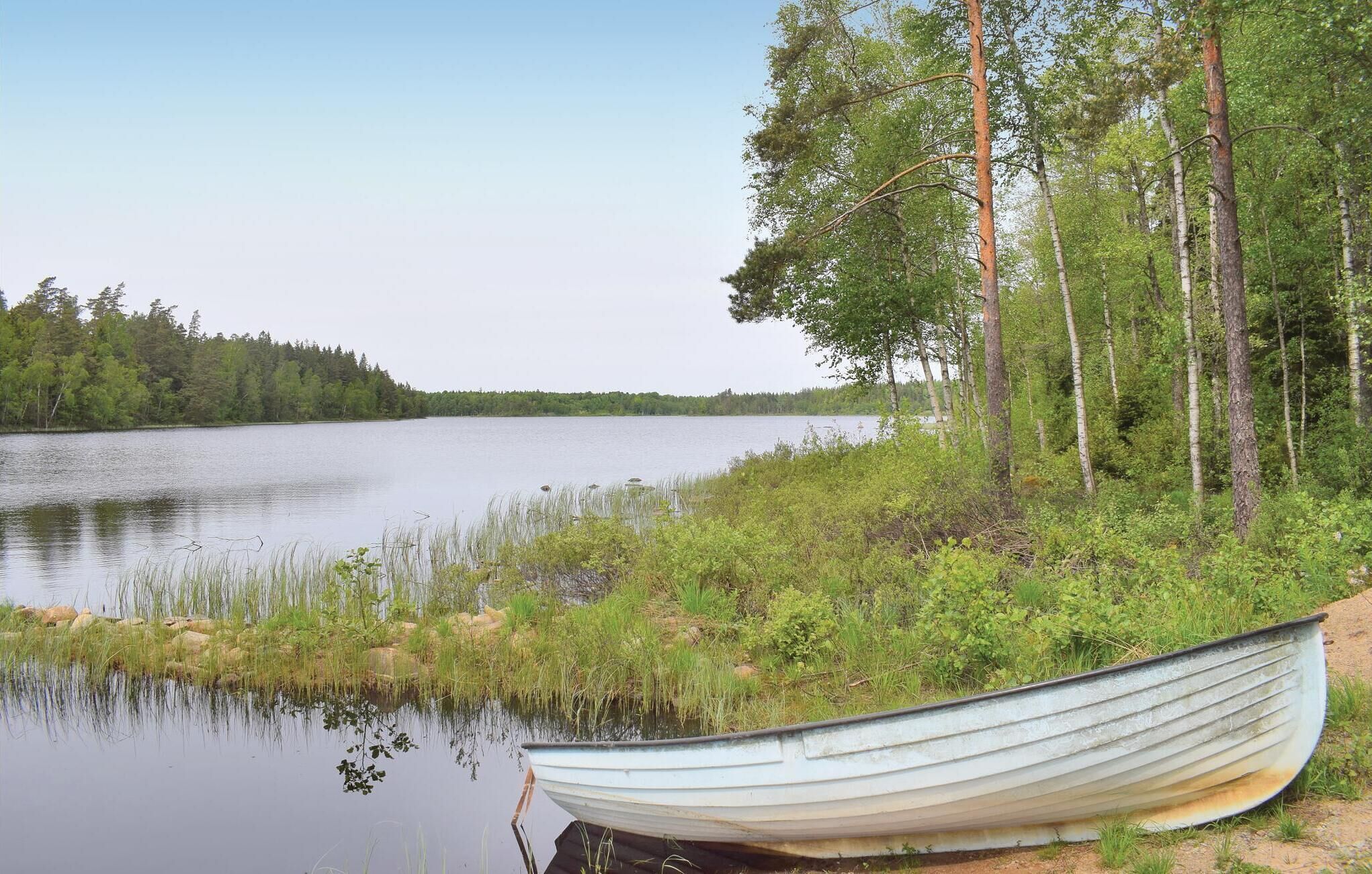 Un lago tranquillo con una barca sulla riva, circondato da alberi e vegetazione.