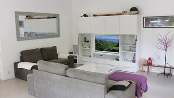 TV, DVD player, foosball, table tennis