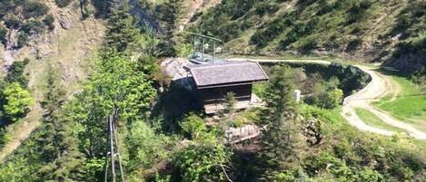 A mountain cabin with a sloped roof, surrounded by dense forest and a winding path.