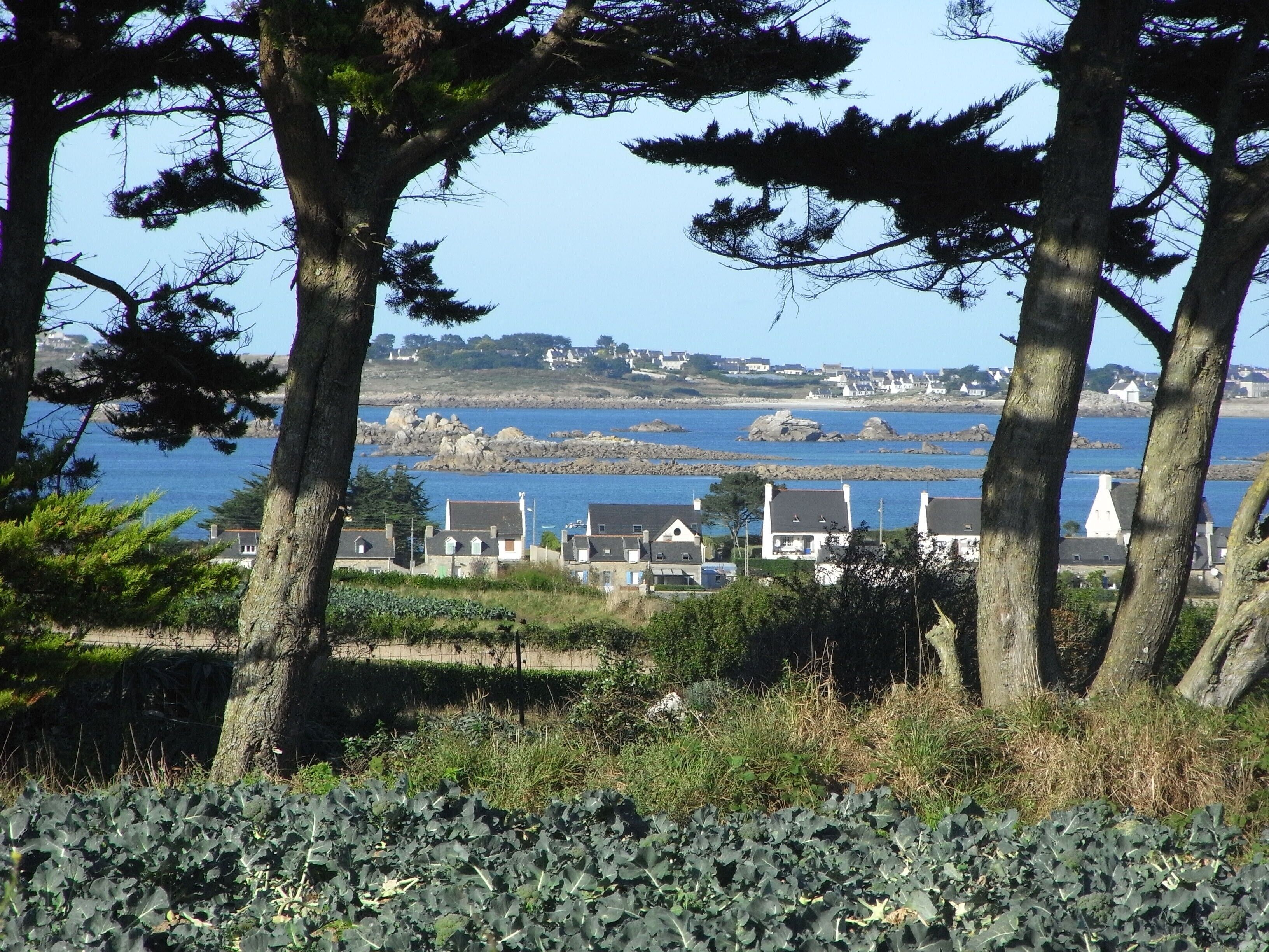 A coastal view with houses and trees.