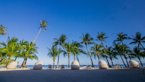 A beach with palm trees and large spherical seating areas. - Apsaras Tribe - Siargao (General Luna)