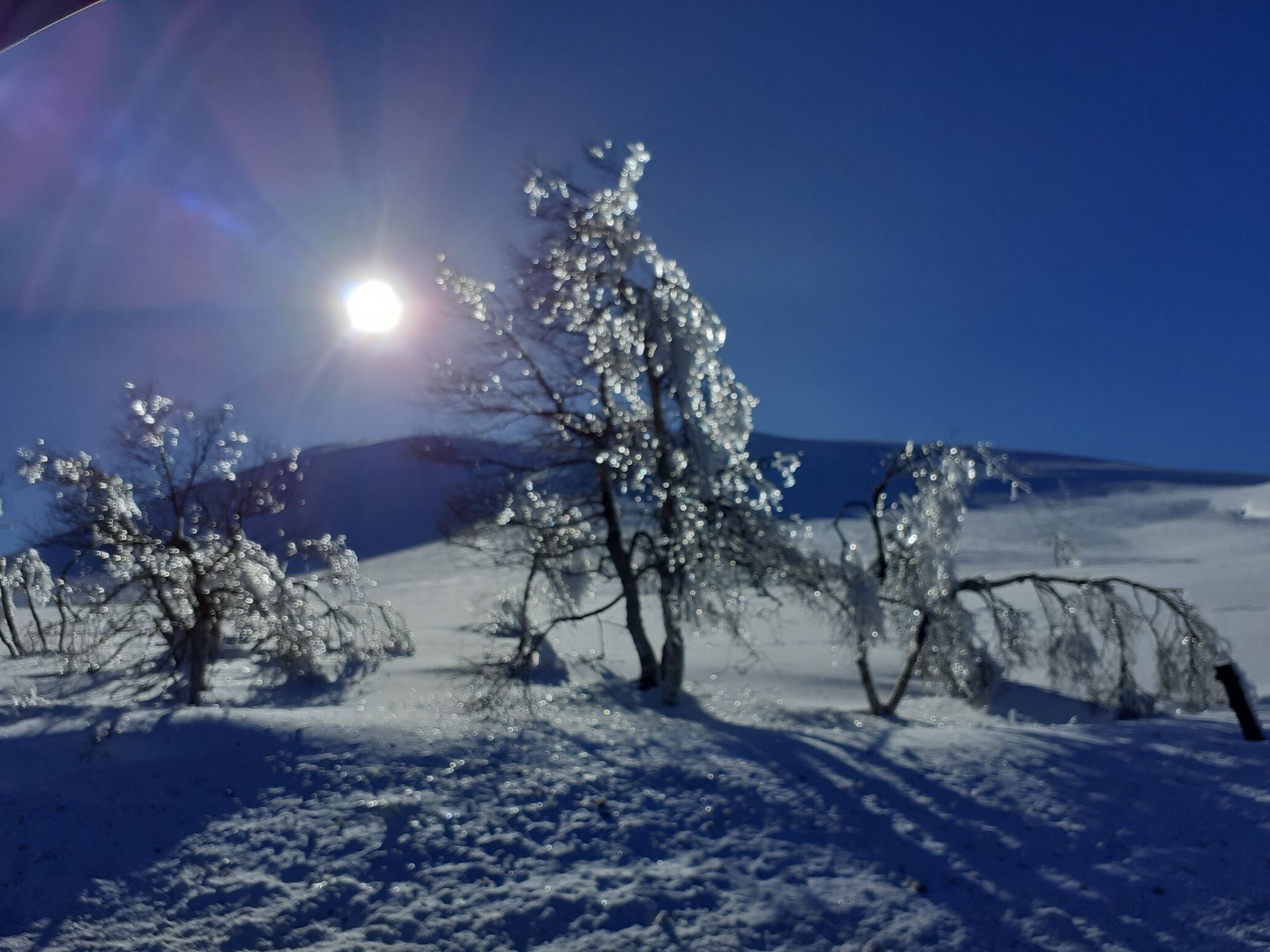 Snø- og skisport