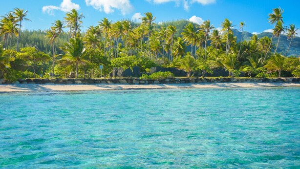 Una playa tropical con agua turquesa cristalina, palmeras y un muro de piedra.