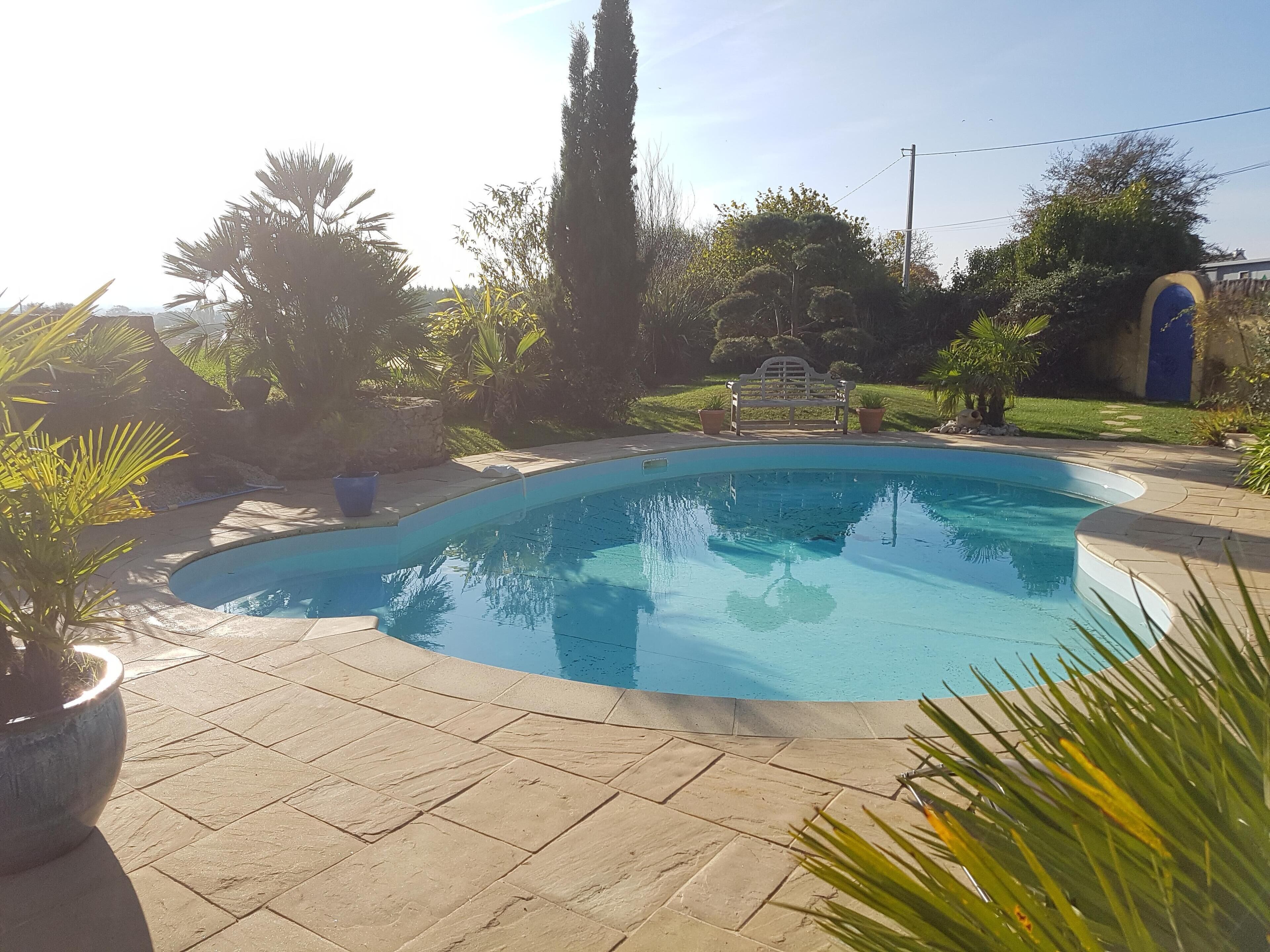 Une piscine avec une terrasse en pierre, entourée de différentes plantes et agrémentée d’un banc.