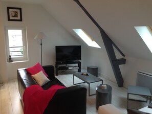 Télévision, lecteur de DVD, livres, vidéothèque