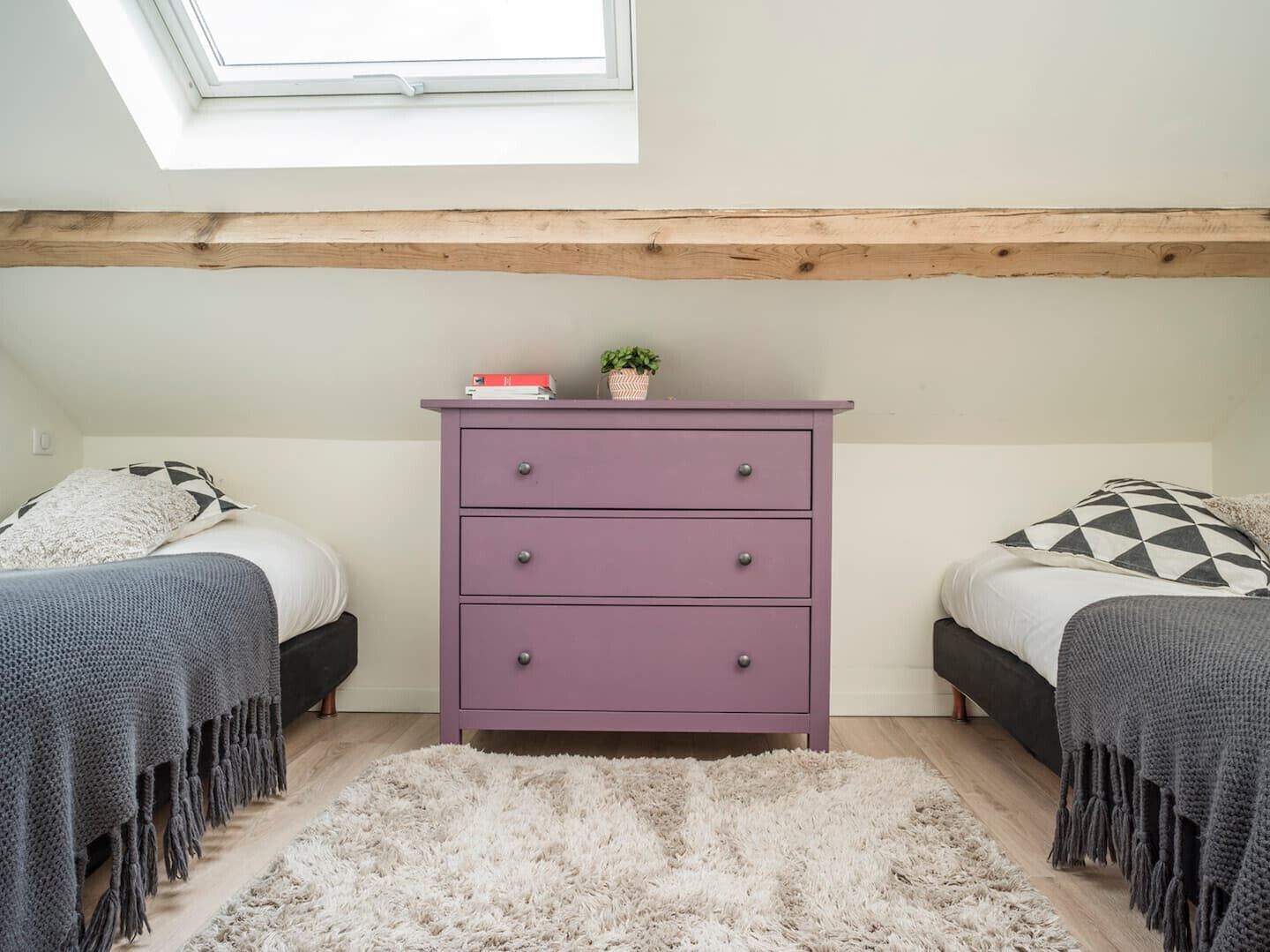 A bedroom with two beds, a purple dresser, a skylight, and a fluffy rug.