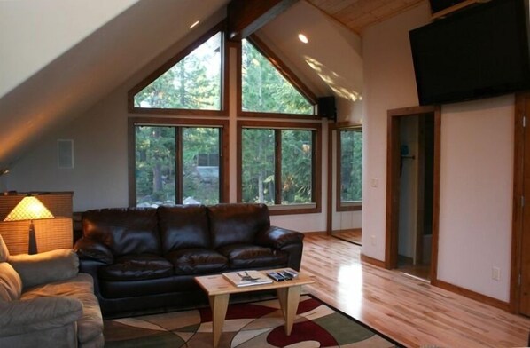 TV, fireplace, DVD player, books