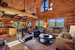 电视、壁炉、DVD 播放器