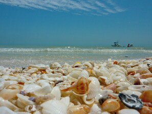 En la playa, camastros y toallas de playa 