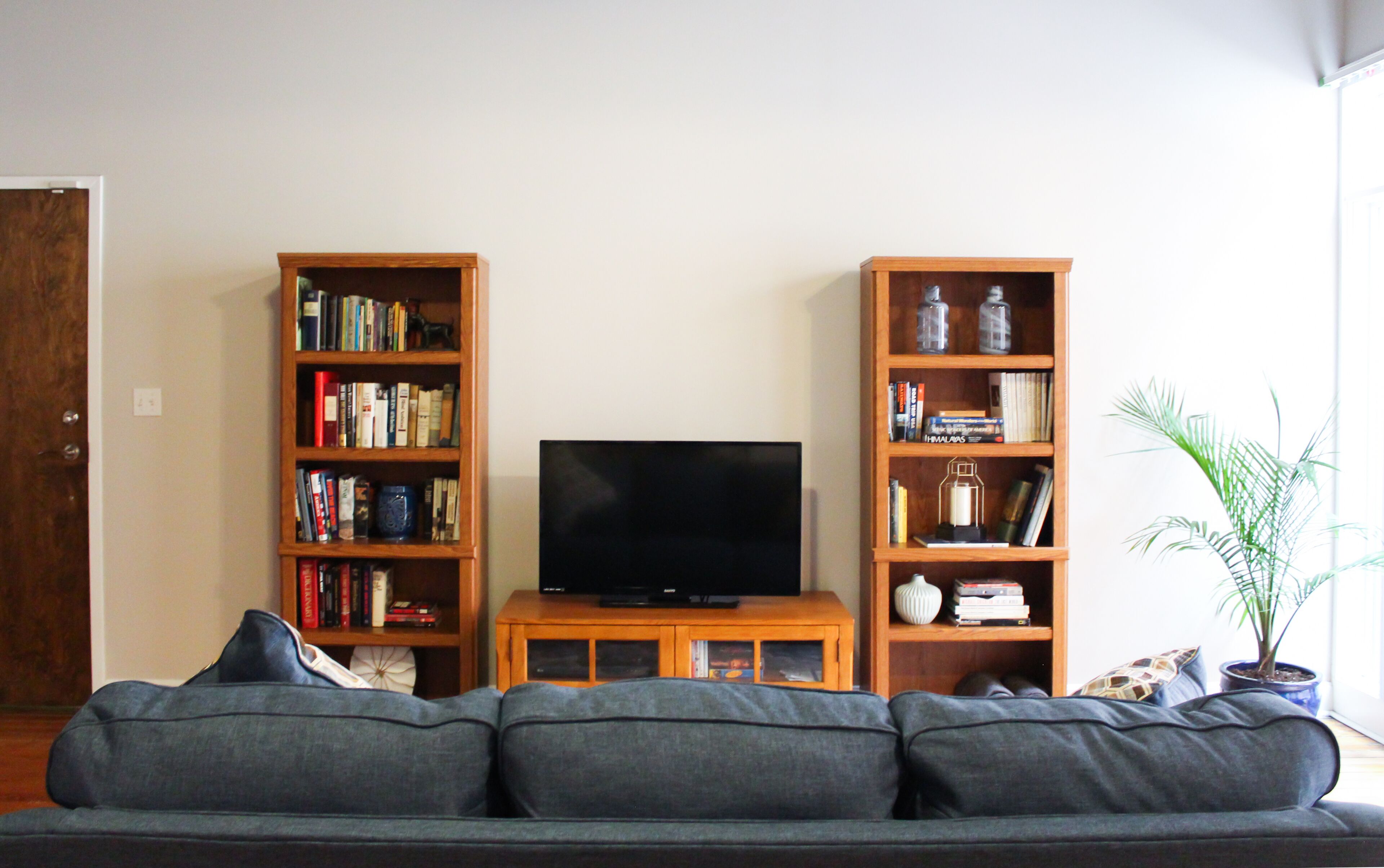 TV, DVD player, books, music library